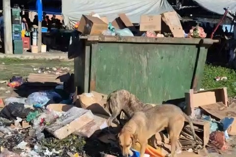 Alerta em São Cristóvão: Lixo Acumulado Próximo à Feira Livre Gera Medo de Contaminação